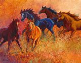 Free Range - Wild Horses by Marion Rose