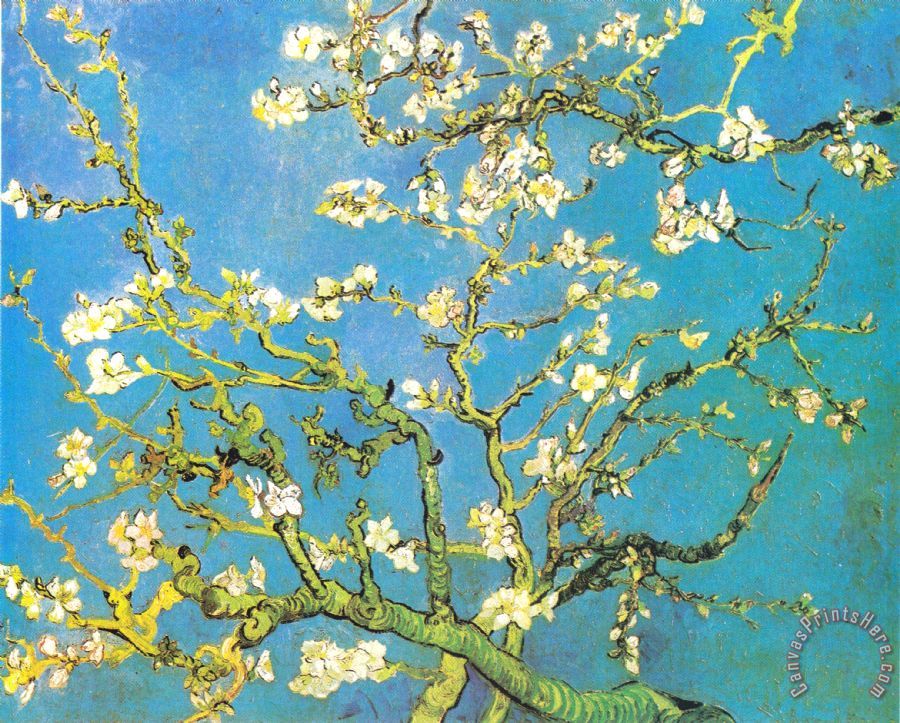 Vincent van Gogh Blossoming Almondbranches Art Print for sale