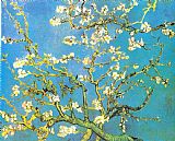 Vincent van Gogh Blossoming Almond-branches