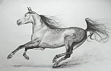 Agris Rautins Galloping horse