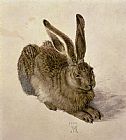 Albrecht Durer Hare