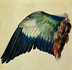 Albrecht Durer Wing of a Blue Roller