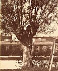 Anonymous French Artist Tree