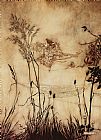 Arthur Rackham The Fairy's Tightrope from Peter Pan in Kensington Gardens