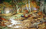 Carl Donner Cock Pheasant and Sulphur Tuft Fungi