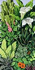 Catherine Abel Foliage
