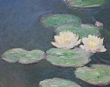 Claude Monet Waterlilies