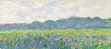 Claude Monet Field of Yellow Irises at Giverny