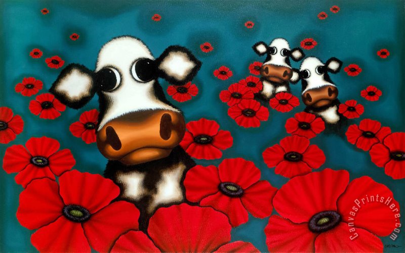 Collection Poppy