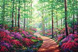 Collection Woodland Walk