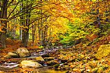 Collection 12 Autumn Landscape