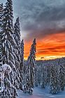 Collection 12 Snow and Sunrise