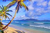 Collection 14 Caribbean Paradise
