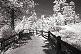 Collection 6 Bryce Canyon Trail