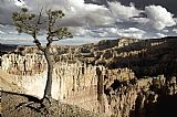 Collection 6 Lone Tree Canyon