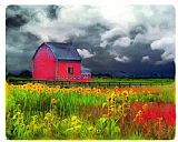 Collection 8 The red barn