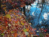 Collection 8 Autumn reflections