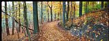 Collection 8 Autumn view