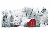 Collection 8 Country winters