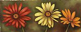 Debra Lake Daisy Chain