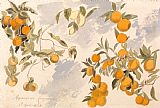 Edward Lear Fruit Trees, 3 April 1863