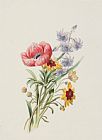 English School Study of wild flowers