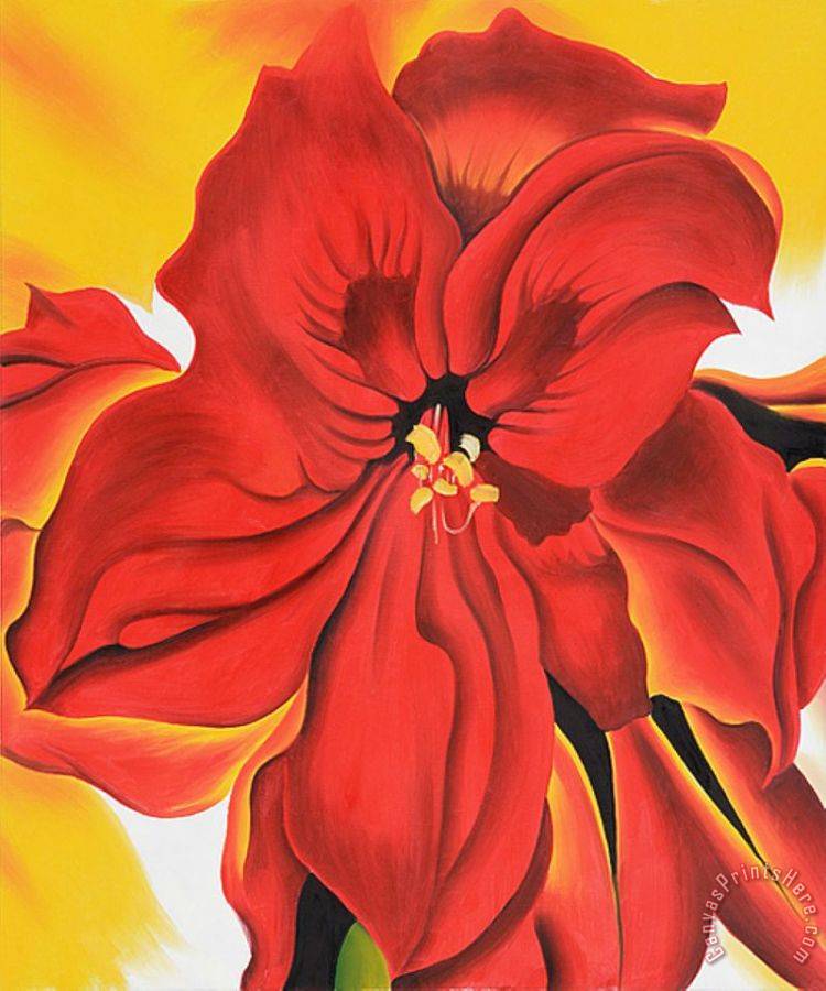 Georgia O keeffe Red Amaryllis 2 Art Print For Sale CanvasPrintsHere georgia-o-keeffe-red-amaryllis-2-art-print-for-sale-canvasprintshere