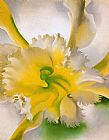 Georgia O'keeffe An Orchid