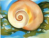 Georgia O'keeffe Pink Shell with Seaweed