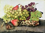Giovanna Garzoni Snail with Grapes and Pears