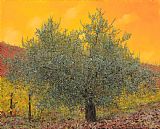 Collection 7 L'ulivo Tra Le Vigne