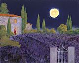 Collection 7 Lavanda Di Notte