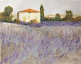 Collection 7 Lavender