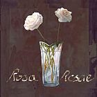 Collection 7 Rosa Rosae