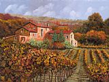 Collection 7 tra le vigne a Montalcino