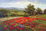 Hulsey Campo Di Fiore II