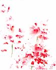 Jerome Lawrence Romance Red X