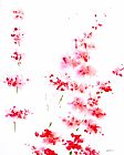 Jerome Lawrence Romance Red XI