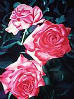 Jerome Lawrence Roses