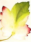 Jerome Lawrence Spring Leaf
