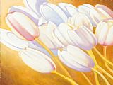 Jerome Lawrence Tulips are People XII h