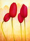 Jerome Lawrence Tulips are People XV