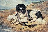 John Emms Dogs Watching Bathers