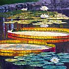 John Lautermilch Morning Glow