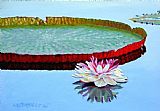 John Lautermilch Stillness