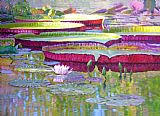 John Lautermilch Sunlight on Lily Pads