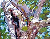 John Lautermilch Sunlight on Sycamore