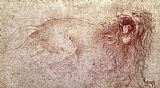 Leonardo da Vinci Sketch Of A Roaring Lion