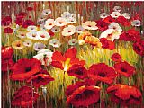 Lucas Santini Meadow Poppies II