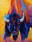 Marion Rose Back Off - Bison